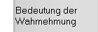 Bedeutung der Wahrnehmung