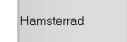 Hamsterrad