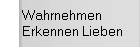 Wahrnehmen Erkennen Lieben